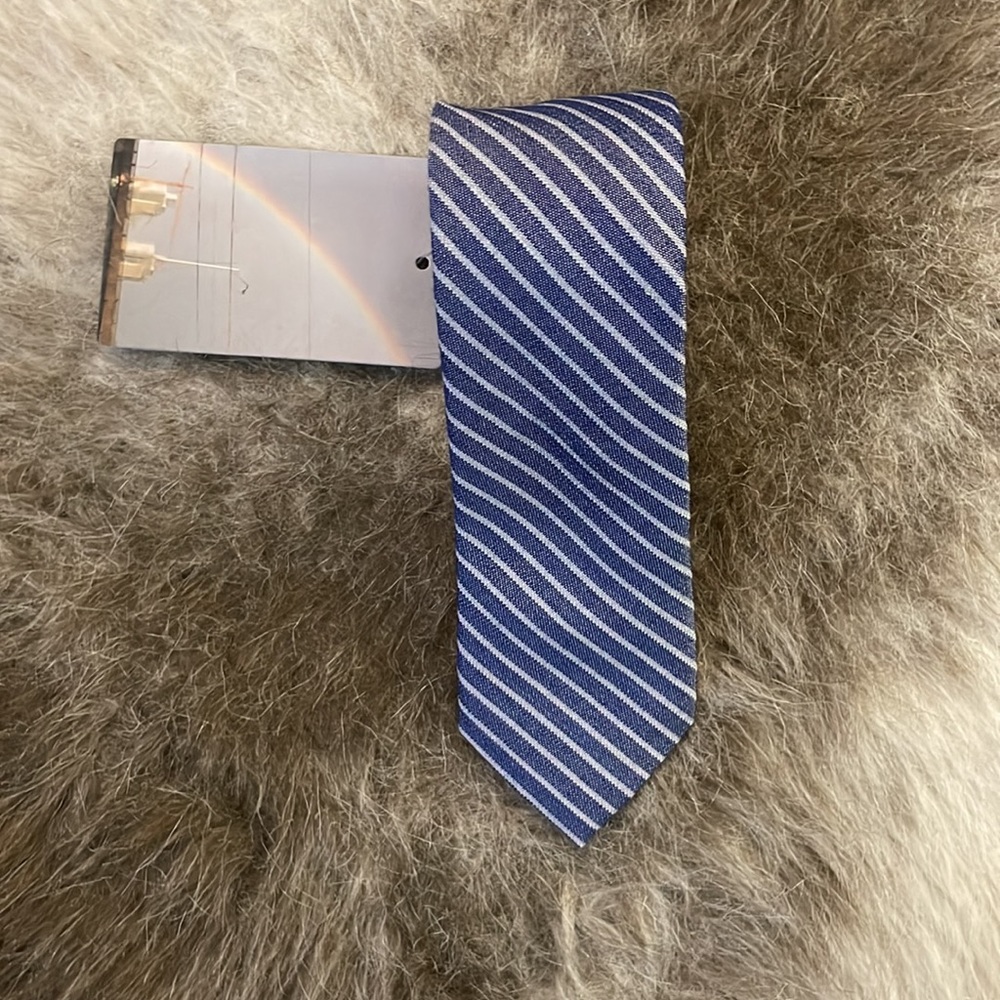 NWT Urban Outfitters BDG Blue & White Diagonal Stripe Silk Wool Blend Skinny Tie